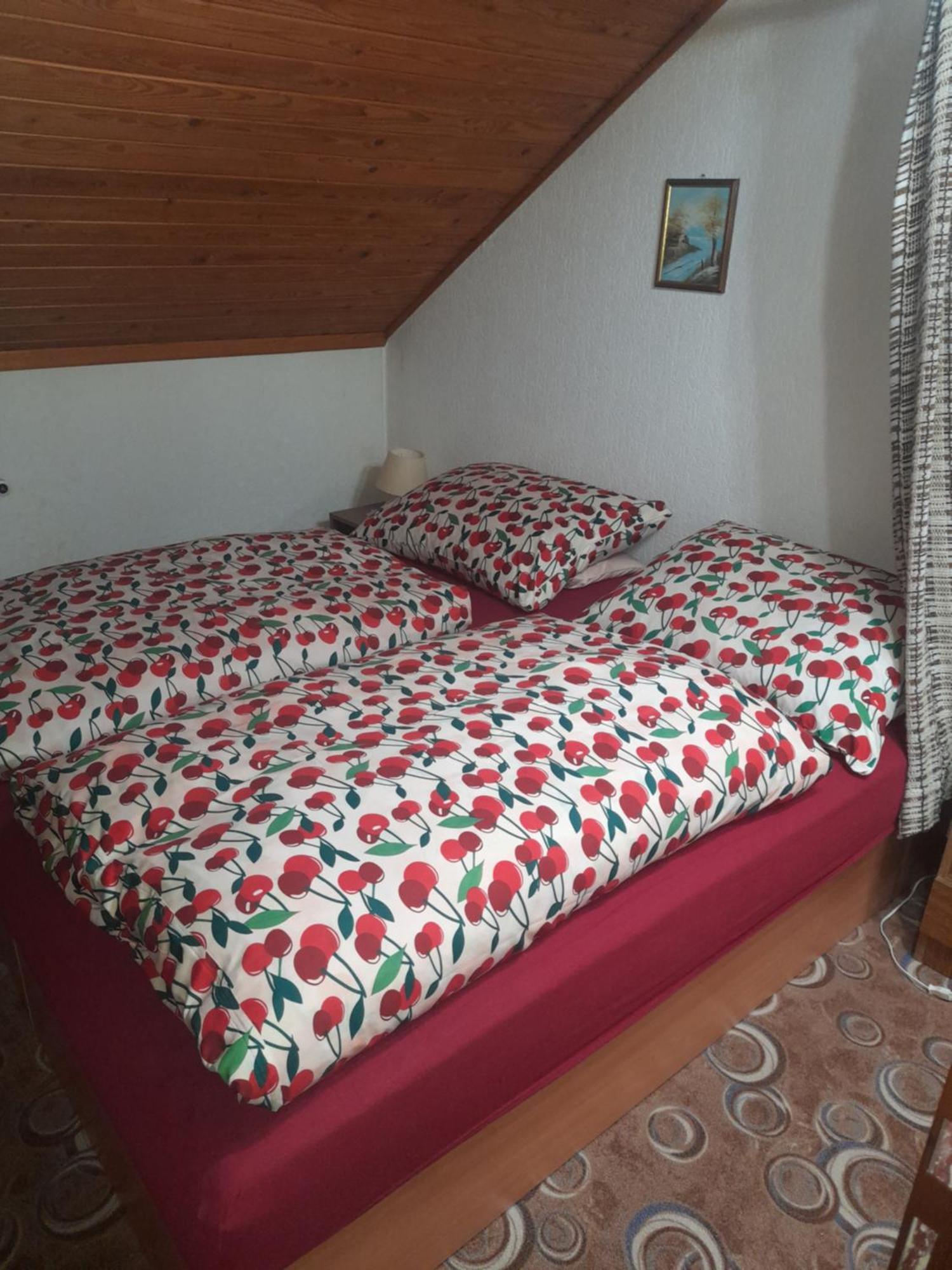 Penzion Krusnohorka Tatrovice Dış mekan fotoğraf